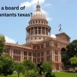 how to find a board of certified accountants texas