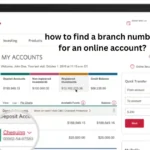 how to find a branch number for an online account