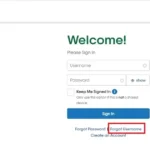 how to find a cricket account number